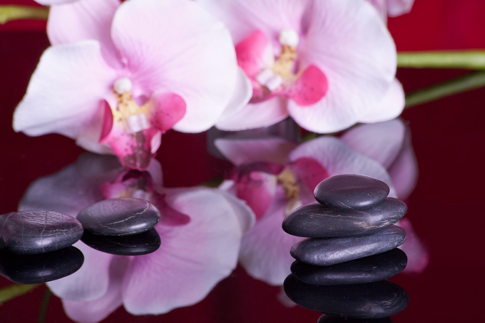 Harness the Power of Acupressure to Boost Immunity and Stay Healthy