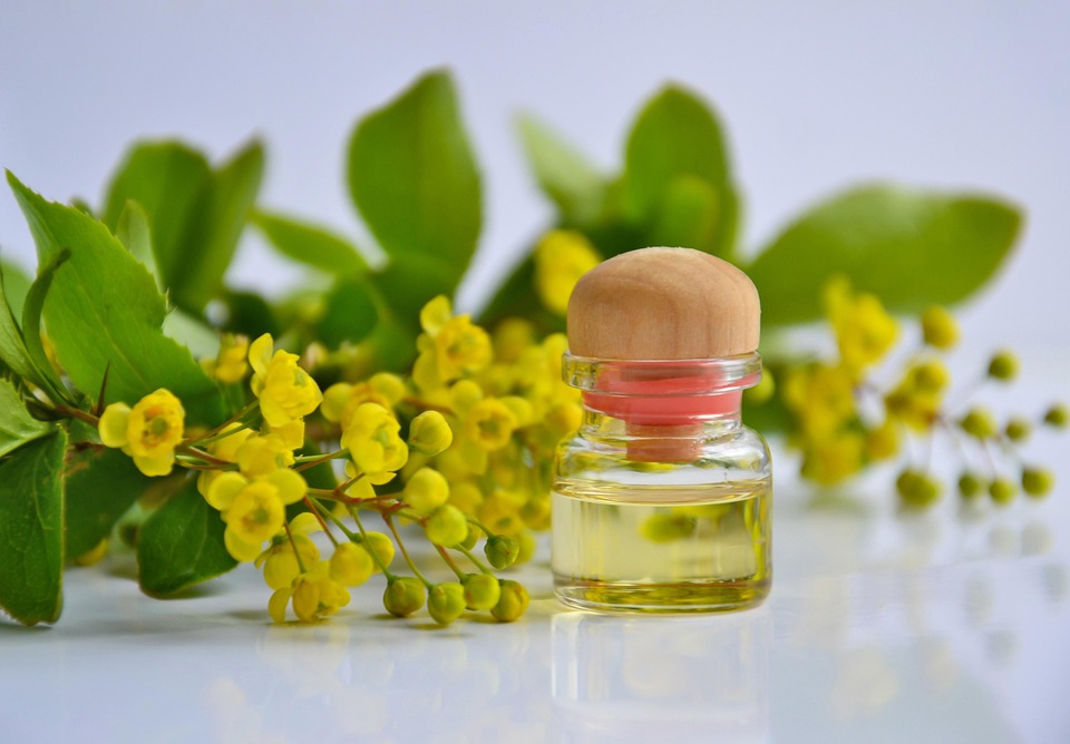 Exploring the Power of Ancient Healing Practices