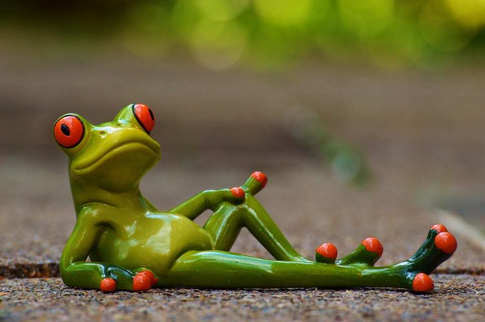The Rise of Complementary Medicine: An Alternative Approach to Healthcare