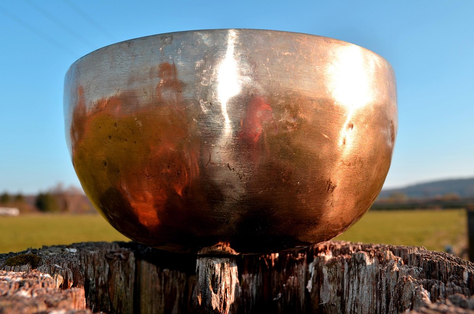 The Power of Nature: Harnessing Natural Healing Remedies