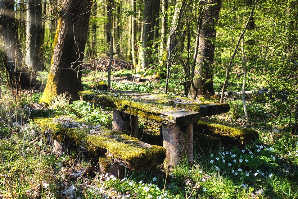 Discover the Benefits of Natural Massage Therapy for Mind and Body