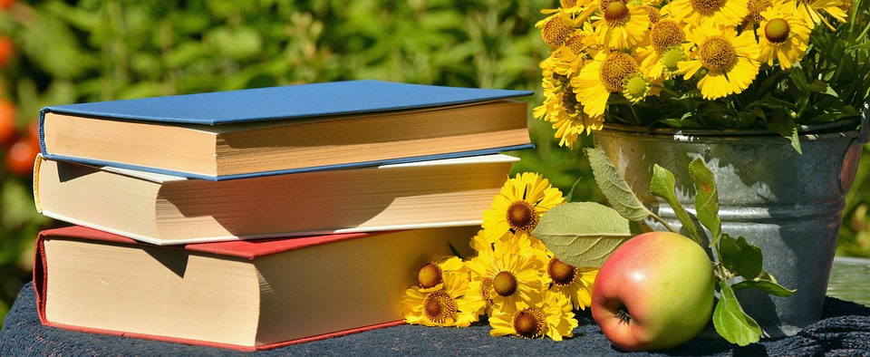 Finding Serenity: How to Achieve Peace of Mind in a Chaotic World