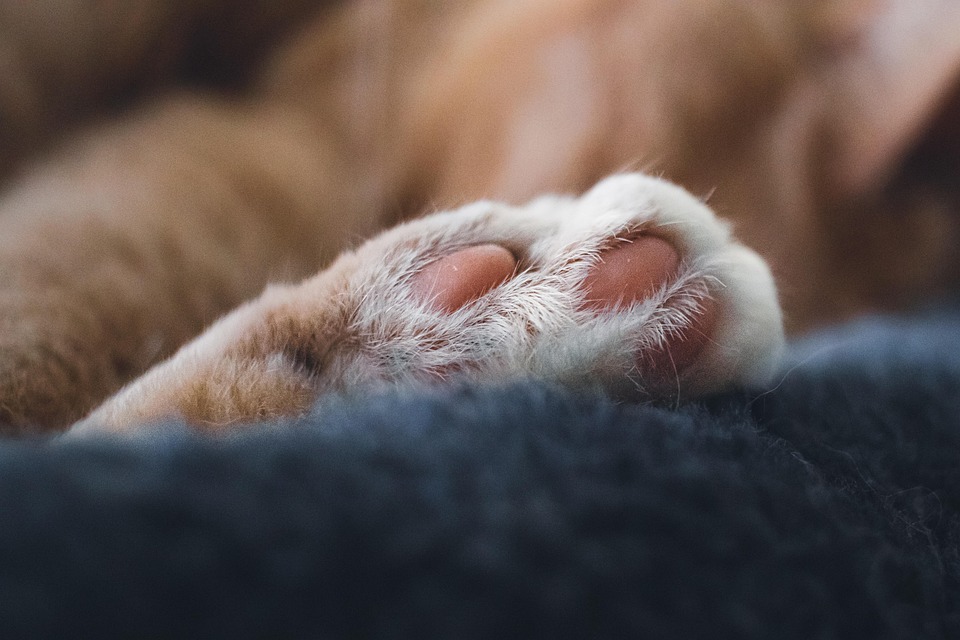 5 Stress Relief Exercises You Can Do At Home Right Now