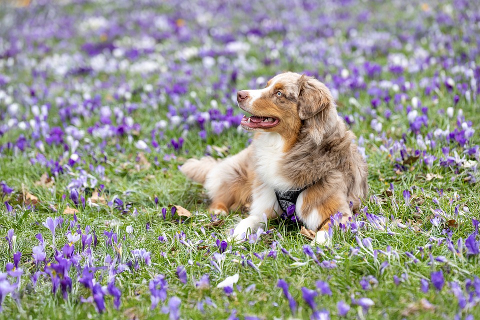 Natural Ways to Lower Blood Pressure Safely