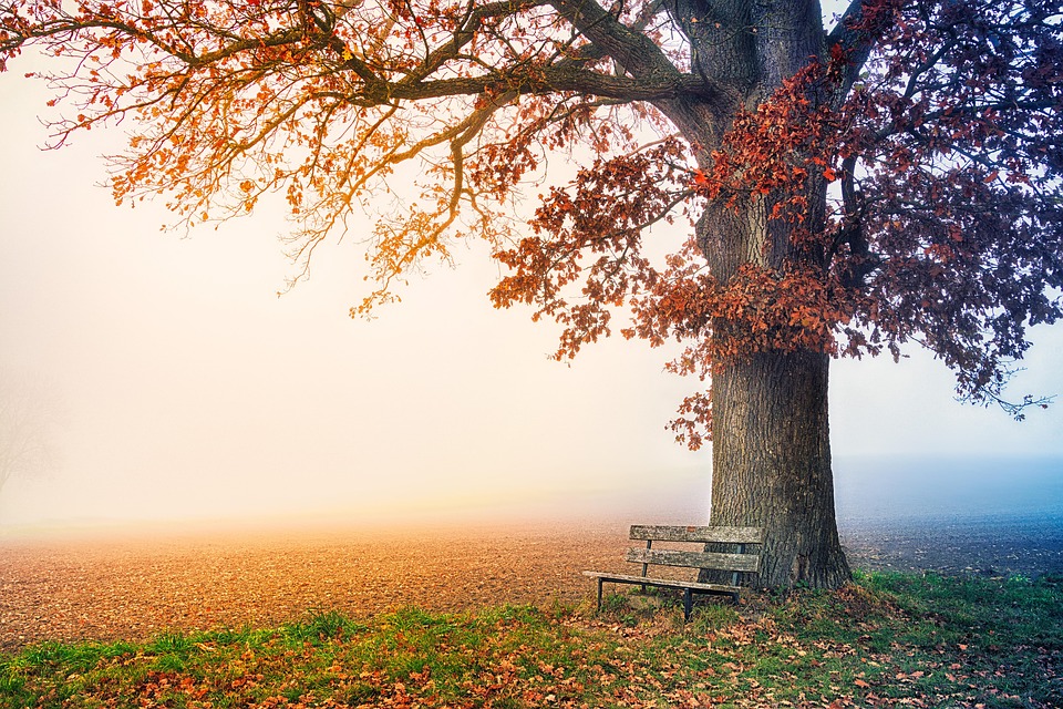 Unwind and Unplug: The Ultimate Evening Stress Relief Routine