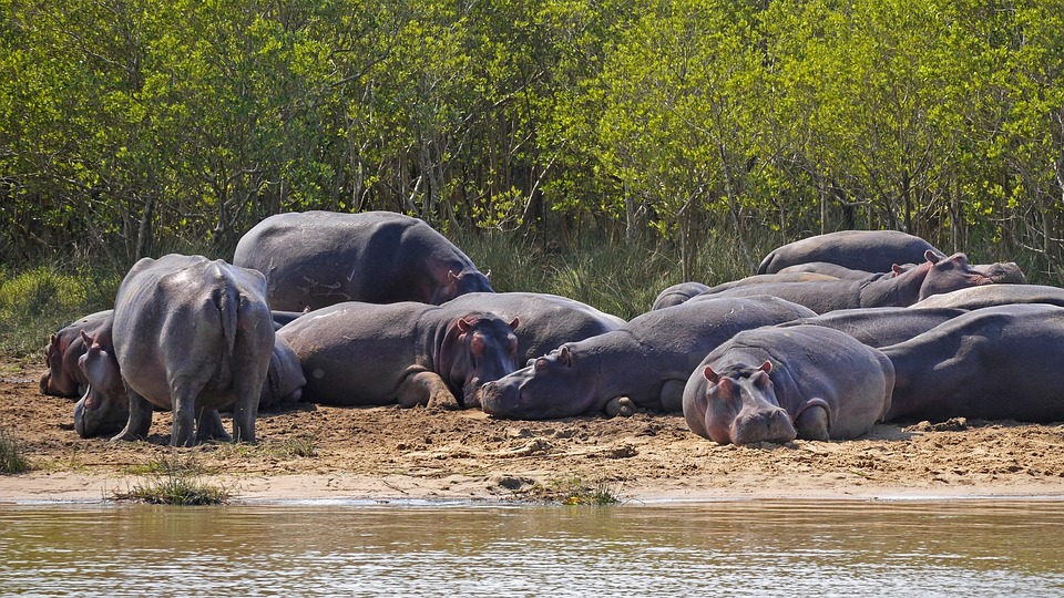 Unlocking the Secrets of Oriental Points: A Comprehensive Guide